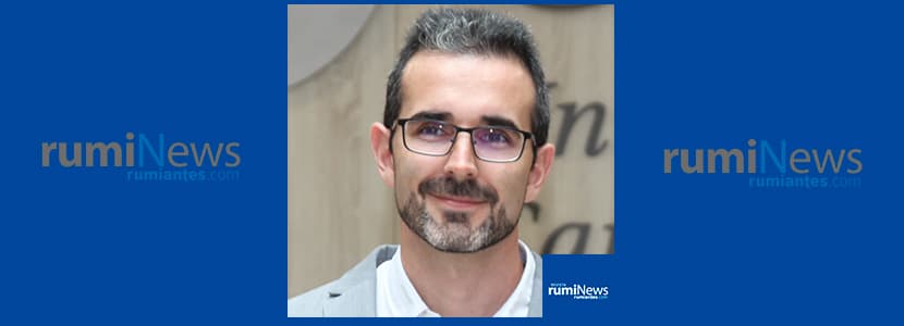 Entrevista a Juan José Quereda, Investigador y Profesor de la CEU-UCH