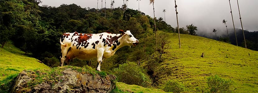 Unificación de registros en un solo sistema en Colombia
