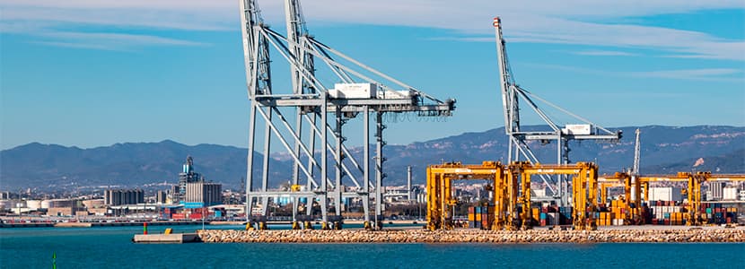 Aumento de las exportaciones cárnicas españolas en 2020