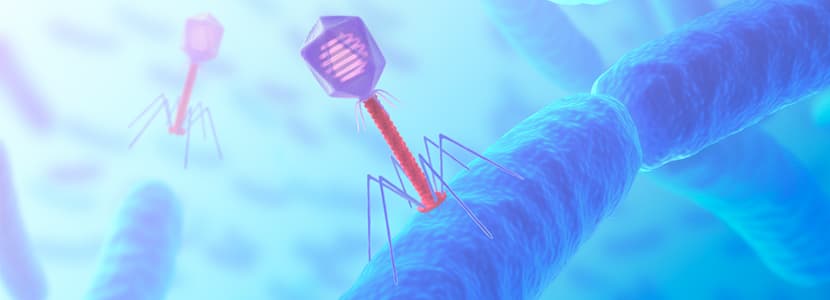 Cócteles de bacteriófagos para el control de poblaciones bacterianas