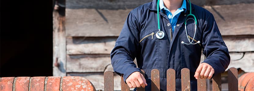 Funciones del veterinario de explotación