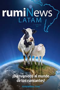 rumiNews LATAM 1er Trimestre 2021