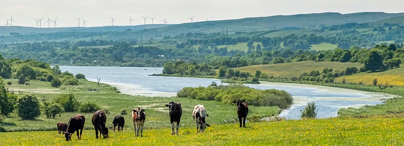 Autodiagnóstico del consumo energético en la granja: ENERLÁCTEO