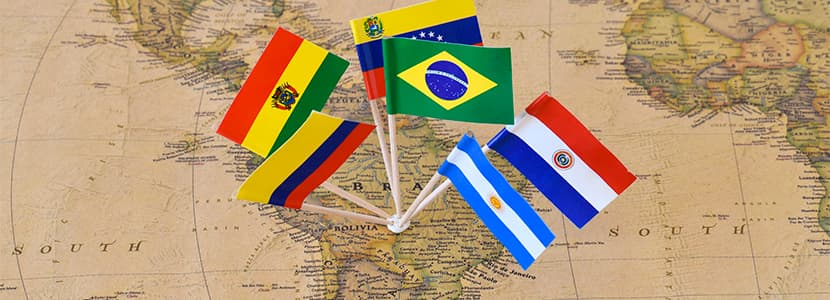 Colombia podrá exportar tripas saladas bovinas a Paraguay