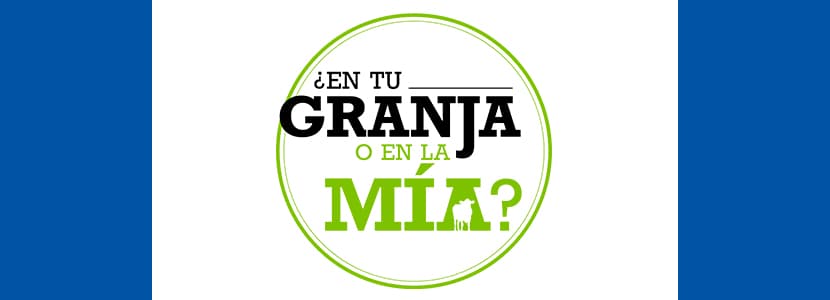 Segundo episodio de "En tu granja o en la mía": Granja L`Aubrac