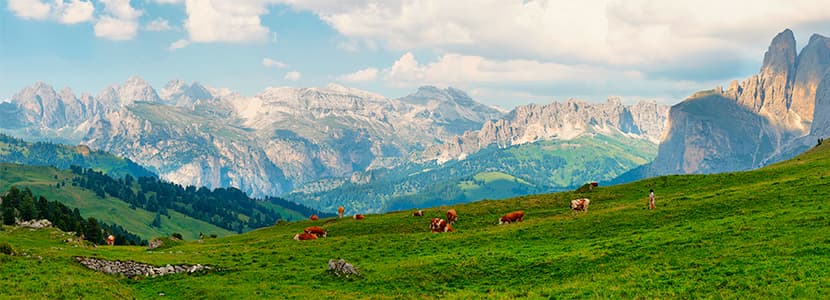 Nueva Ley de Sanidad Animal de la Unión Europea