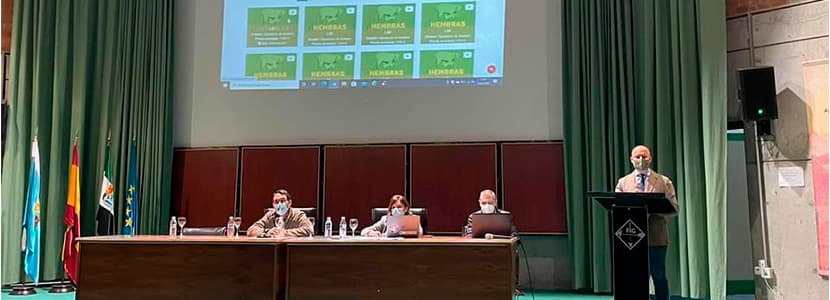 Éxito de la raza Merina en las Subastas Virtuales de la Feria de Zafra