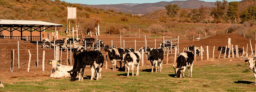 México es el tercer productor agropecuario de América Latina