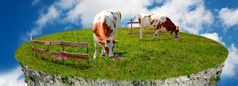 ¿Son las vacas la mayor fuente de contaminación de GEI del planeta?