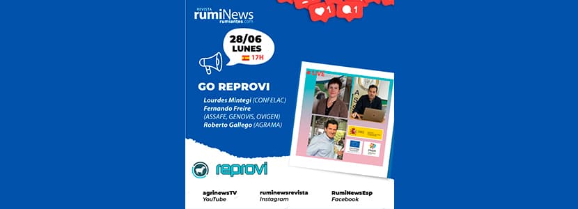Entrevista al GO REPROVI: innovación y reproducción en ovino lechero
