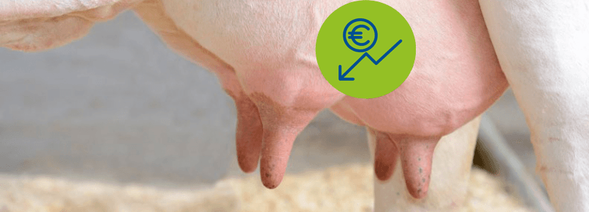 Análisis de la mamitis y la salud de la ubre con UNIFORM-Repro