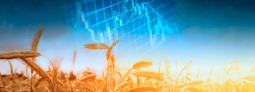 Mercado de materias primas para alimentación animal – ¿Qué debemos esperar en agosto?