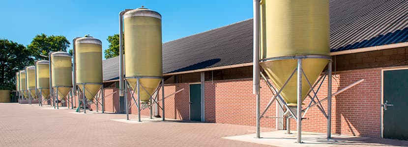 Cataluña marca un récord en producción de piensos durante 2020
