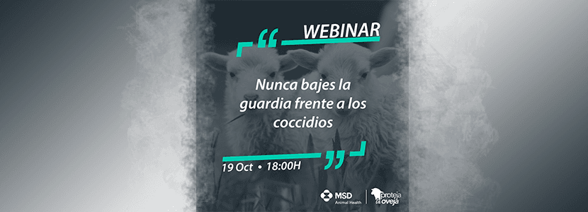 Nunca bajes la guardia frente a los coccidios-Webinar de MSD Animal Health el 19 octubre