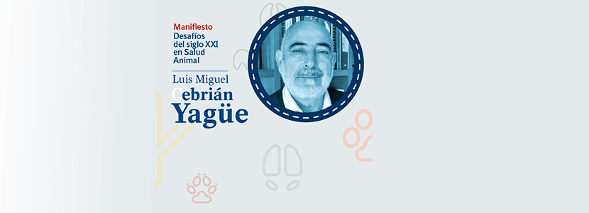 El veterinario y su papel como garante de la sanidad animal y seguridad alimentaria