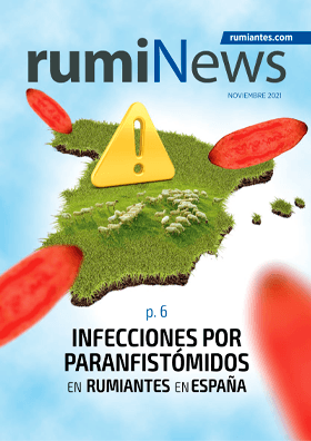 rumiNews Noviembre 2021