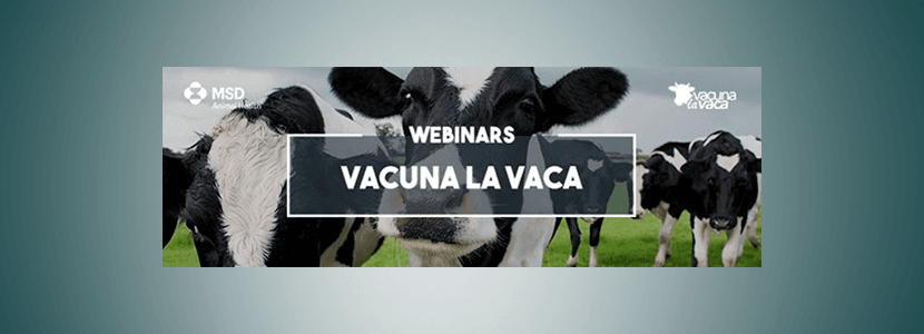 ¿Cómo afecta la nueva normativa del medicamento al sector vacuno lechero?