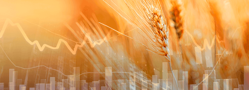 Qué esperar del mercado de materias primas para alimentación animal en febrero