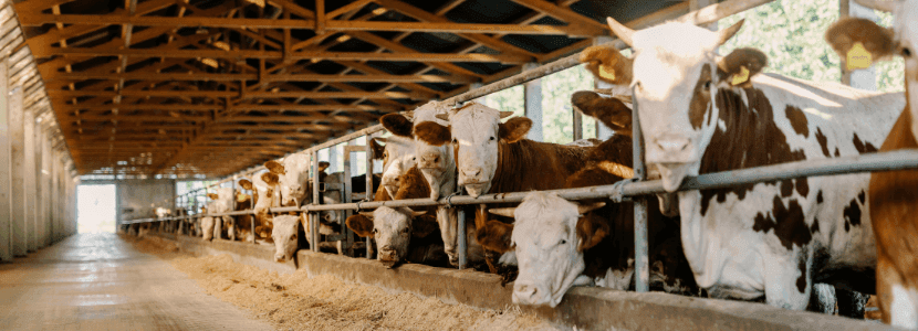 Se lanza consulta abierta sobre la estrategia Farm to Fork