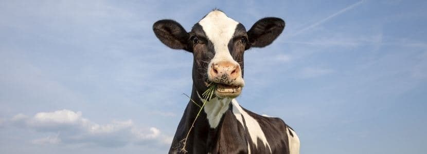 Cataluña se queda sin stock de materia prima