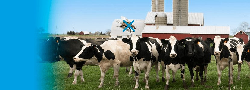 SANIVIR® PLUS S – Todo el poder desinfectante, ahora también insecticida