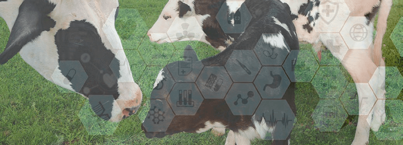 Maymó se une a TherioTech, red de intercambio de conocimiento sobre reproducción animal