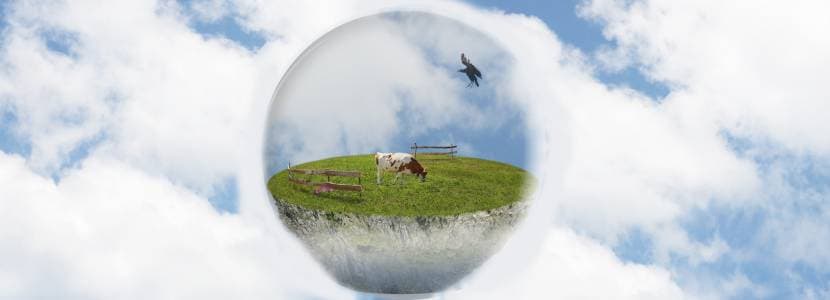 UE aprueba un aditivo alimentario para reducir el metano de las vacas