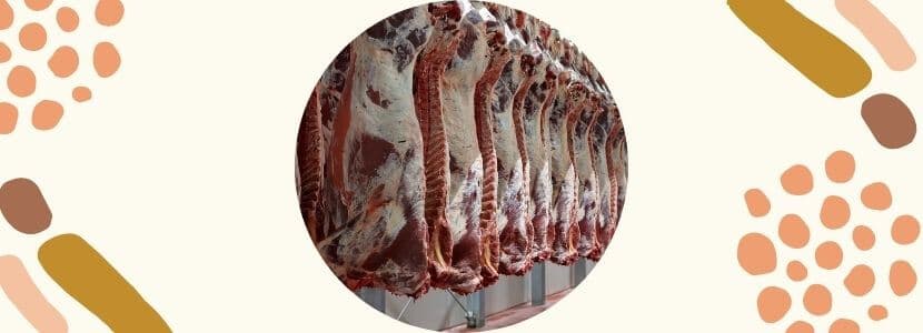 Se reabre el matadero municipal de Talavera de la Reina