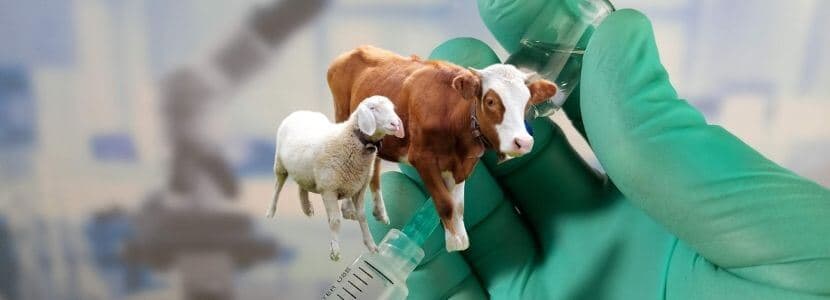 Antibióticos veterinarios vendidos en 2021