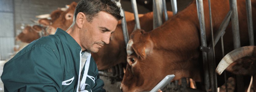 Manifiesto en defensa de la profesión veterinaria