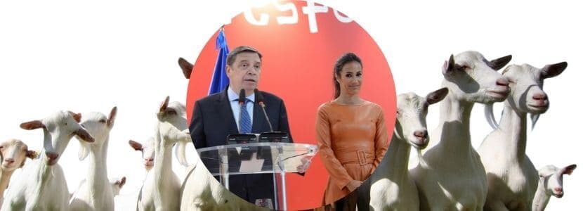 La diversidad y calidad de los alimentos españoles