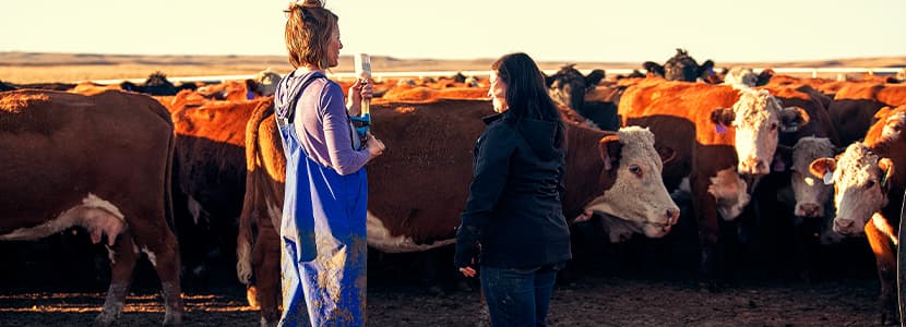 Elanco da su apoyo a veterinarios para el fortalecimiento de la resiliencia veterinaria