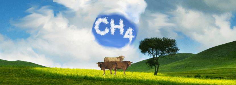 Estudio analiza los carbohidratos y su impacto en las emisiones de metano