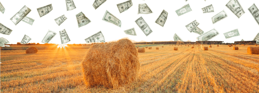 Estudian utilizar fondos de Desarrollo Rural para paliar la subida de costes