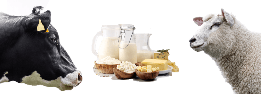 Iniciado el pago de 159 millones en ayudas a los productores de leche