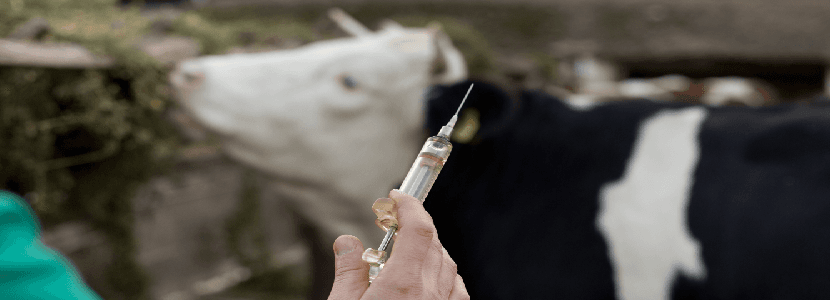 Aumenta la escasez de profesionales veterinarios de campo