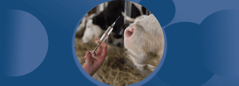 Alegaciones de los veterinarios por el Real Decreto de Medicamentos Veterinarios