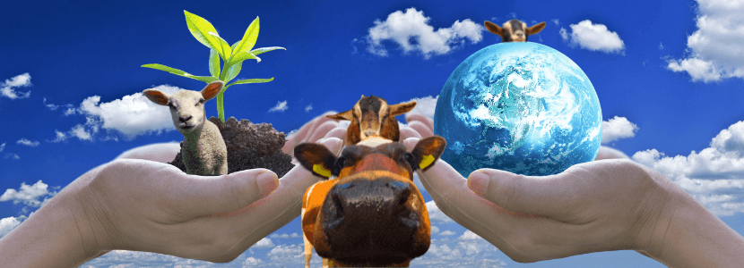Liderando el camino hacia la resiliencia en el sector de la sanidad animal