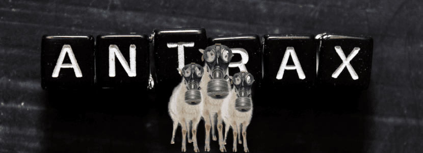 Foco de carbunco bacteridiano en Extremadura
