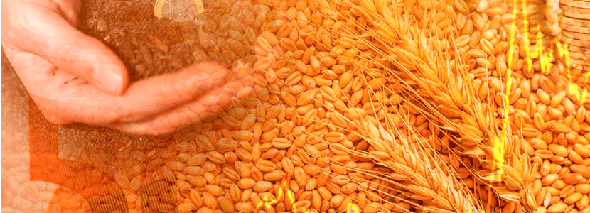 Cereales y oleaginosas continúan en precios altos mientras la energía inicia una bajada