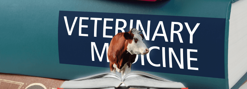 Menos ingresos de estudiantes veterinarios en las universidades Españolas