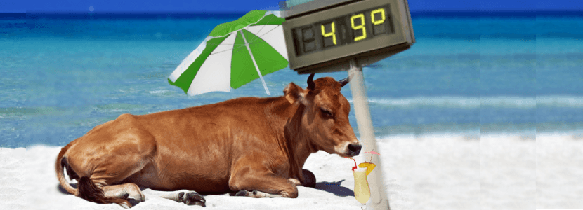 Afrontar las extremas temperaturas y su impacto en la ganadería