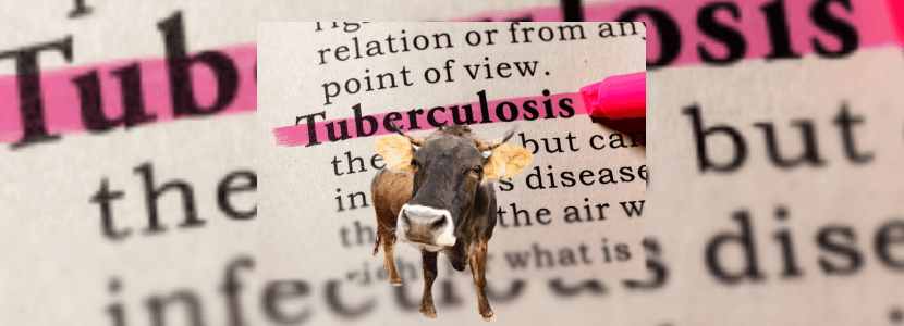 Dos nuevos focos de tuberculosis en Asturias