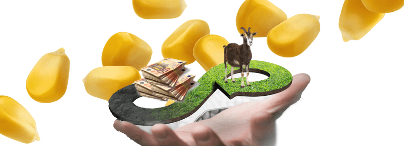 Publicada la modificación que permitirá destinar fondos FEADER a ayudas agroalimentarias