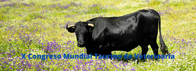 Congreso veterinario del Toro de Lidia