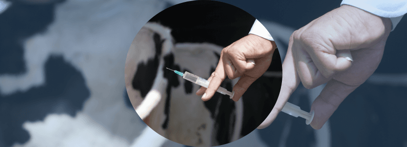 Andalucía anuncia oferta pública de empleo para inspector veterinario