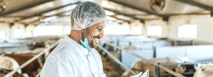 Las pieles de vacuno de carne: Compromiso Bienestar Animal