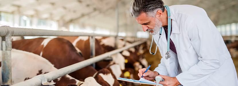 Boehringer Ingelheim destaca colaboración veterinario-médico en la prevención de zoonosis