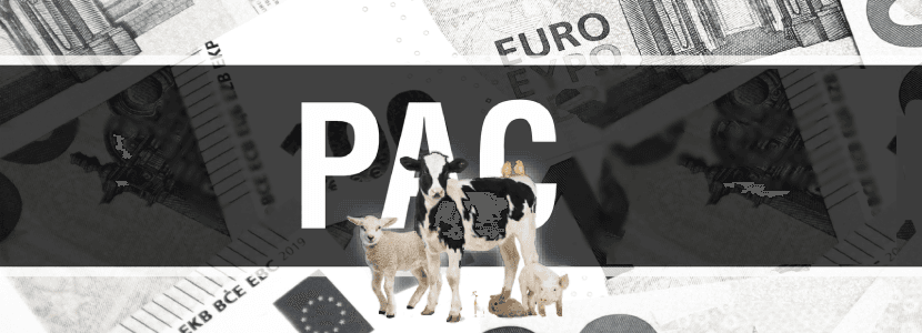La nueva PAC podría entrar en vigor el 1 de enero de 2023