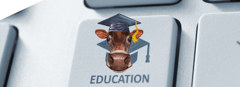 Séptima edición del curso de emprendimiento en el medio rural